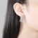 Maple female European and American trendy fashion temperament earrings, new creative earrings manufacturers wholesale