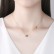 New style gold-plated copper inlaid zircon personality clavicle chain Fashion temperament womens necklace