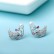 AAA diamond-studded zircon earrings electroplated white gold fashion sweet earrings earrings