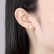 Golden Korean style inlaid zircon earrings Korean style fashion new earrings