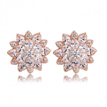 Flower dance earrings AAA zircon simple natural flower fashion earrings wholesale women