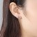 Snow White Earrings Korean Style Zircon Fashion Simple Womens Small Earrings Small Jewelry