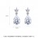 Womens new style AAA zircon water drop earrings Korean style explosion style fashion copper inlaid zircon factory