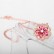 Begonia Eight Hearts & Arrows Small Round Zircon Korean Fashion Necklace Female Factory Wholesale