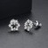 Snow White Earrings Korean Style Zircon Fashion Simple Womens Small Earrings Small Jewelry