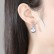 Womens new style AAA zircon water drop earrings Korean style explosion style fashion copper inlaid zircon factory