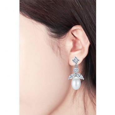 Natural 6-7mm Pearl Cleaner Earrings AAA Zircon Inlaid Popular Earrings Female Manufacturer