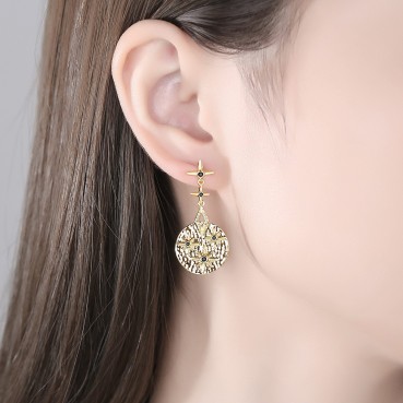 Xinghui gold earrings new Korean style earrings female fashion temperament individual earrings