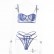 New colors for 2021 summer new lace embroidery fashion sexy lingerie suit