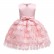 Girls dresses, childrens clothing, autumn new feather net gauze skirt, childrens vest, princess dress, catwalk