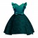 Childrens dress dress skirt spot childrens skirt girls jacquard princess dress custom festival