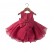 Baby one year old dress female child princess dress baby hundred-day banquet birthday catch week clothes autumn red