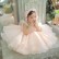 Korean girl princess dress fashion lace childrens dress autumn and winter little flower girl dress tutu skirt piano