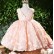 2021 autumn new baby one-year-old dress girl child birthday girl princess dress flower girl girl evening dress western