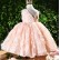 2021 autumn new baby one-year-old dress girl child birthday girl princess dress flower girl girl evening dress western