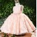 2021 autumn new baby one-year-old dress girl child birthday girl princess dress flower girl girl evening dress western