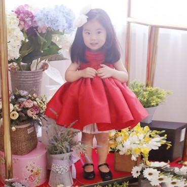 New childrens dress birthday childrens clothing princess dress flower girl dress pettiskirt red singing and dancing