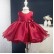 Baby one year old dress female child princess dress baby hundred-day banquet birthday catch week clothes autumn red