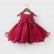 Baby one year old dress female child princess dress baby hundred-day banquet birthday catch week clothes autumn red