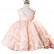 2021 autumn new baby one-year-old dress girl child birthday girl princess dress flower girl girl evening dress western