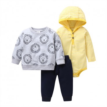 Manufacturers wholesale autumn casual baby childrens childrens suit gray long sleeve hooded jacket trousers haras 3