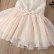 Dream Dangdo Girl Dress Summer New Child Princess Skirt Woven Viole Skirt