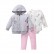 Manufacturers wholesale autumn casual baby childrens childrens suit gray long sleeve hooded jacket trousers haras 3