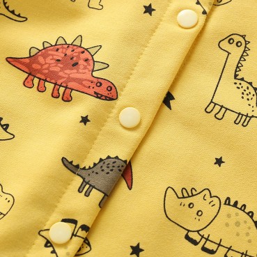 New baby conjoined European and American autumn cotton long-sleeved baby long romper cartoon dinosaur ha clothing out