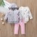 Manufacturers wholesale autumn casual baby childrens childrens suit gray long sleeve hooded jacket trousers haras 3