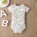 Net red baby triangle ha clothing INS Europe and the United States newborn casual clothes female combed cotton summer