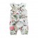 INS newborn summer explosion models 2 pieces of infant vest hanie crash coated cotton