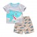 Childrens suit Europe and the United States childrens clothing summer new short-sleeved childrens suit cotton boys