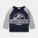 Childrens clothing autumn new product children T-shirt dinosaur bottoming shirt cotton baby compassion male child