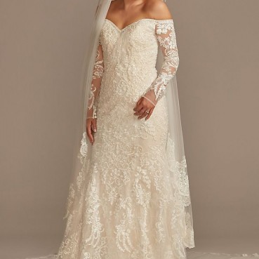 Beaded Lace Mermaid Plus Size Wedding Dress