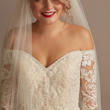 Beaded Lace Mermaid Plus Size Wedding Dress