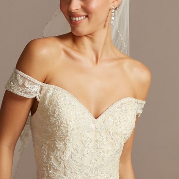 Beaded Lace Mermaid Plus Size Wedding Dress